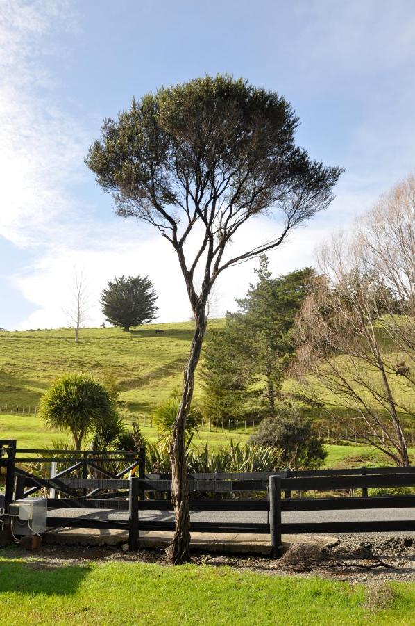 Matapouri & Tutukaka Spectacular Coastal Views- Aroha Luxury Guest Suite ภายนอก รูปภาพ
