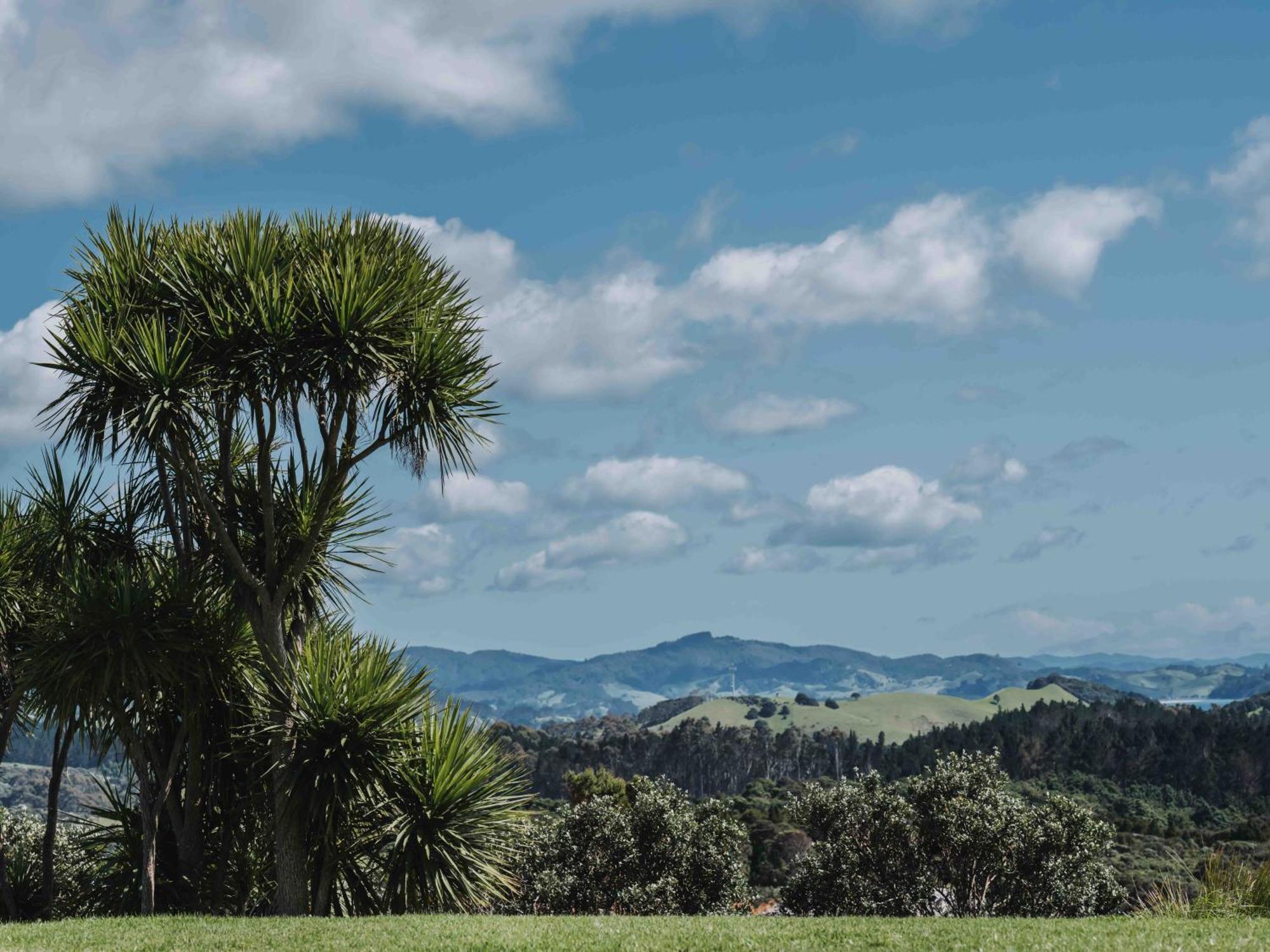 Matapouri & Tutukaka Spectacular Coastal Views- Aroha Luxury Guest Suite ภายนอก รูปภาพ