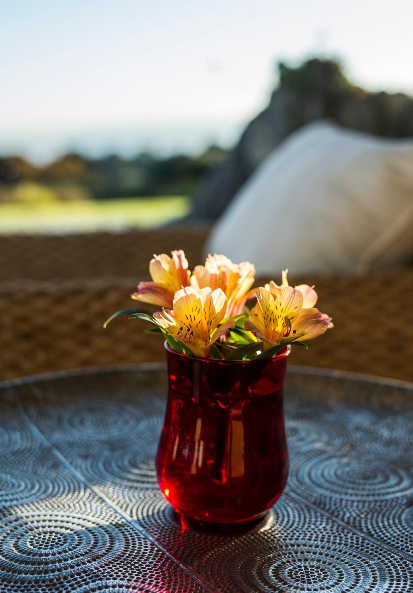 Matapouri & Tutukaka Spectacular Coastal Views- Aroha Luxury Guest Suite ภายนอก รูปภาพ